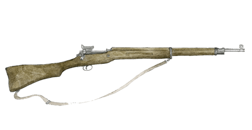 Gun